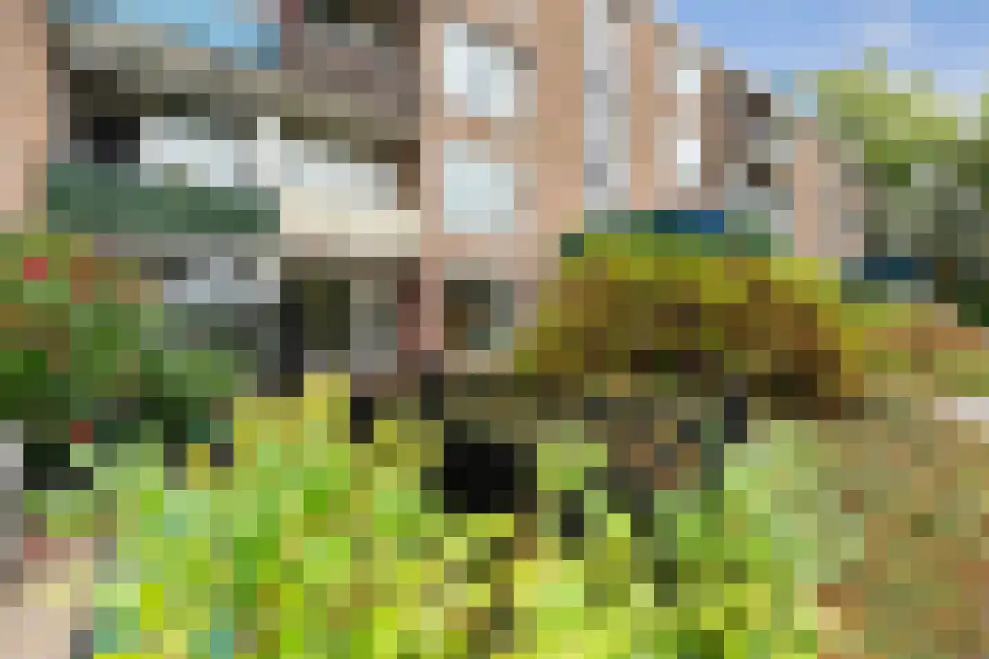 Reitdiepstraat 31 Dordrecht thumbnail 26