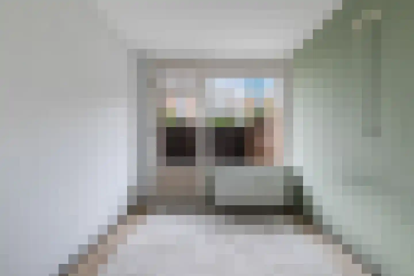Reitdiepstraat 34 Dordrecht thumbnail 15