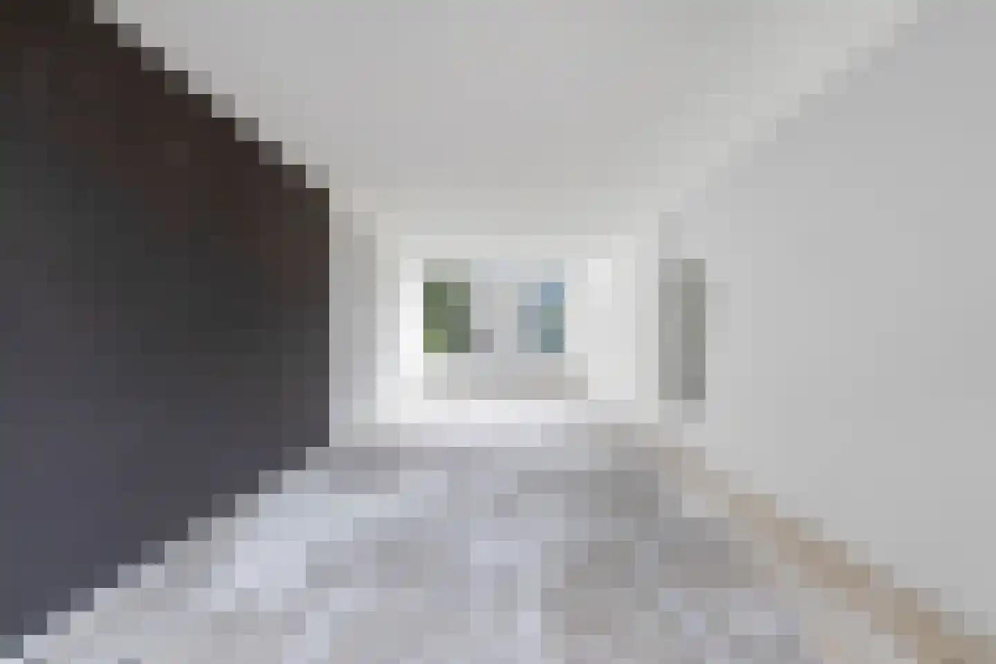 Reitdiepstraat 4 Dordrecht thumbnail 7