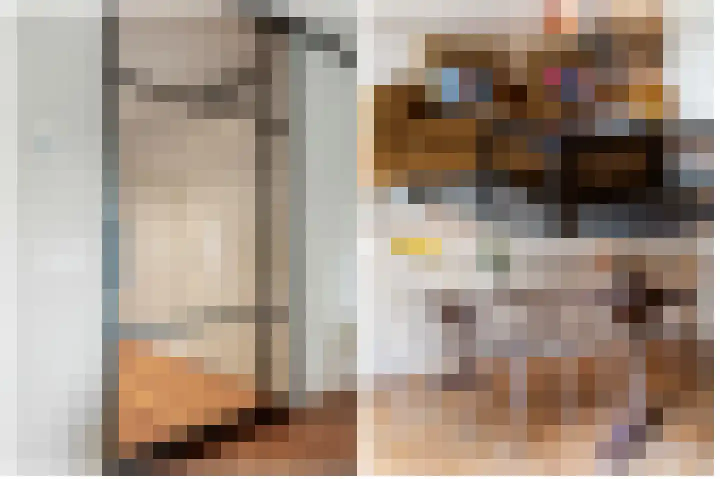 Reitdiepstraat 7 Utrecht thumbnail 17