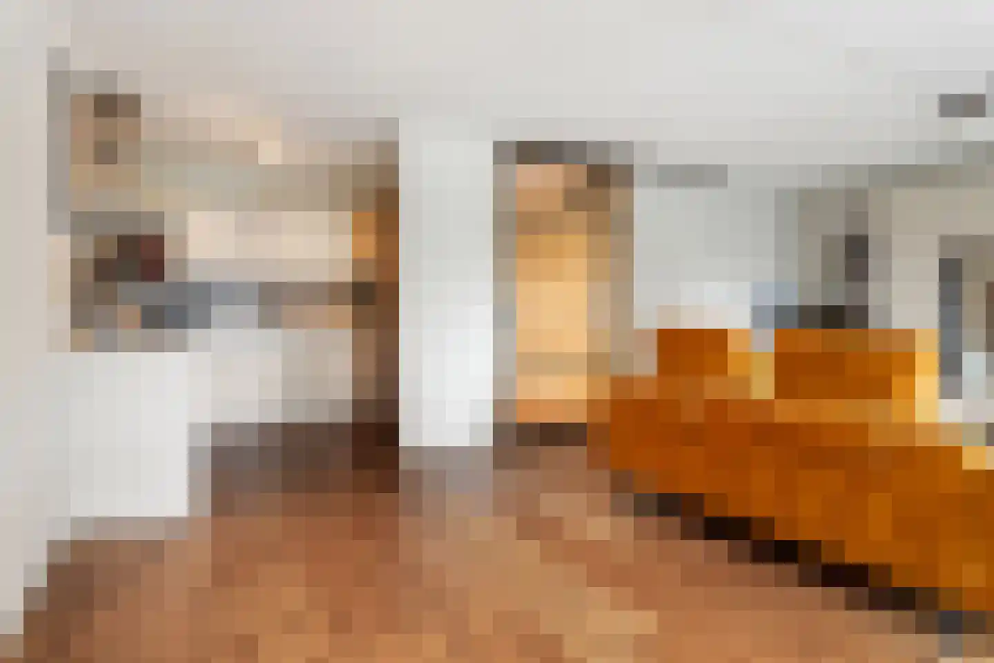 Reitdiepstraat 7 Utrecht thumbnail 18