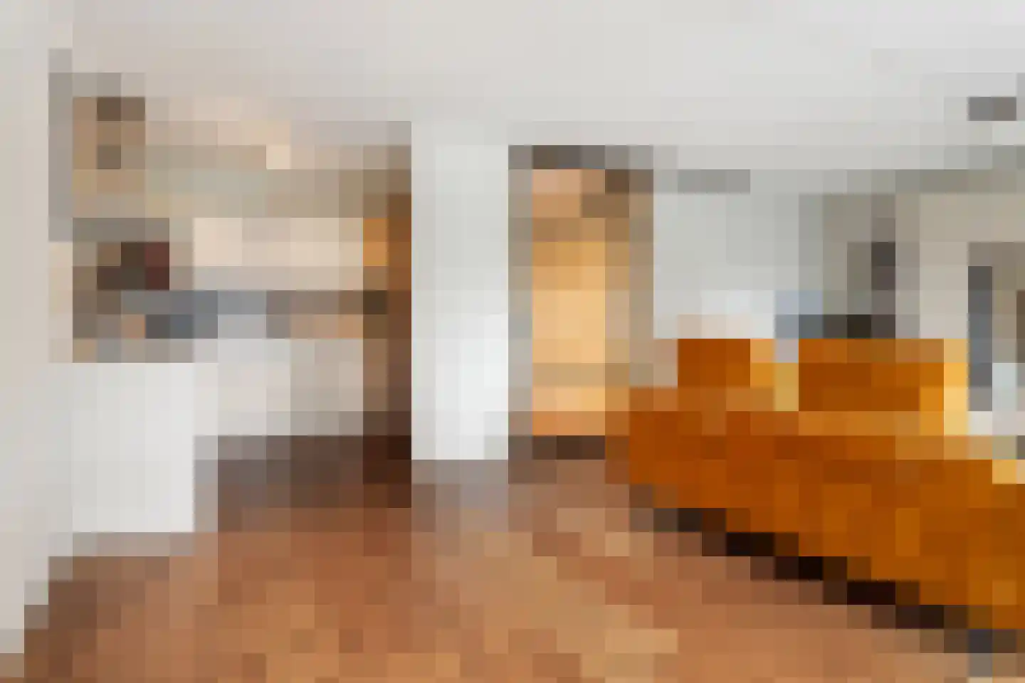 Reitdiepstraat 7 Utrecht thumbnail 19