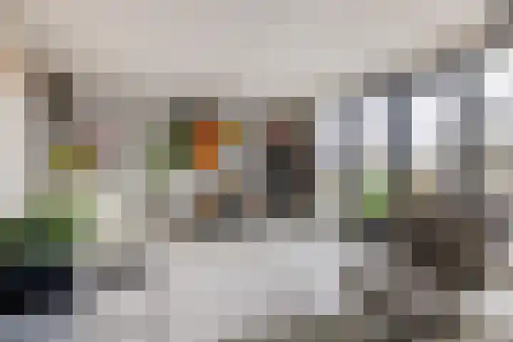 Reitdiepstraat 89 Utrecht thumbnail 11