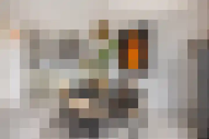 Reitdiepstraat 89 Utrecht thumbnail 12
