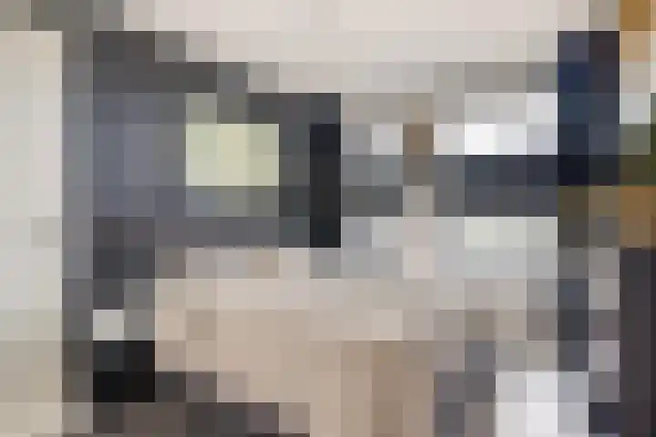 Reitdiepstraat 89 Utrecht thumbnail 16