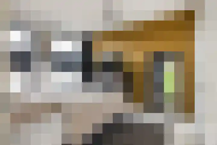 Reitdiepstraat 89 Utrecht thumbnail 17