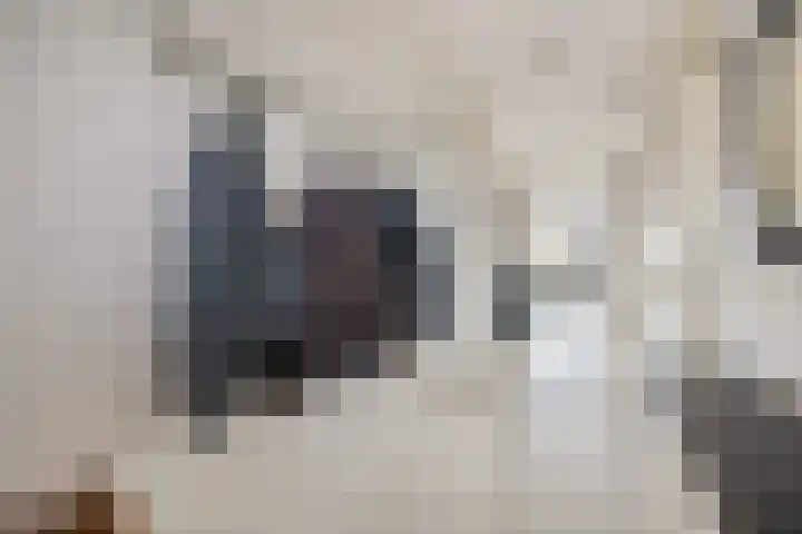Reitdiepstraat 89 Utrecht thumbnail 8
