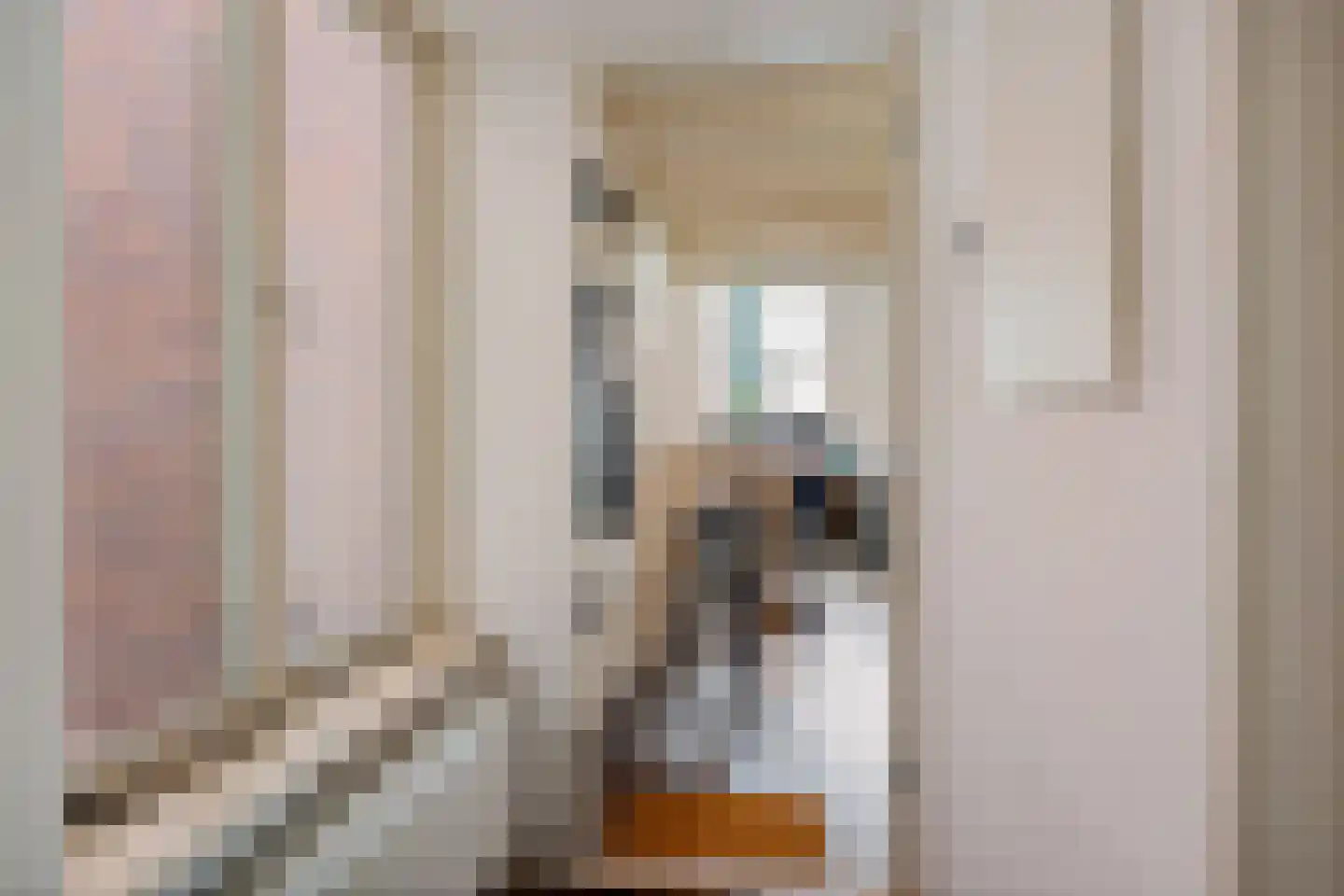 Reitemakersrijge 5 a Groningen thumbnail 7