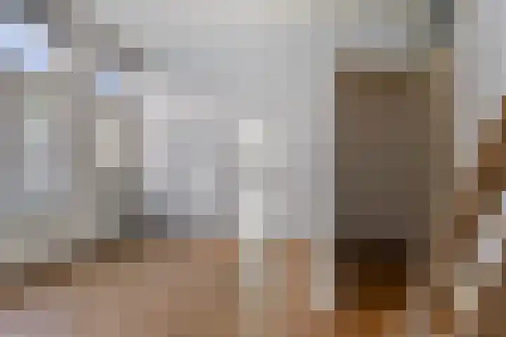 Reitemakersrijge 5 Groningen thumbnail 12