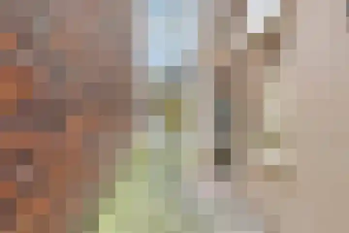 Reitemakersrijge 5 Groningen thumbnail 30