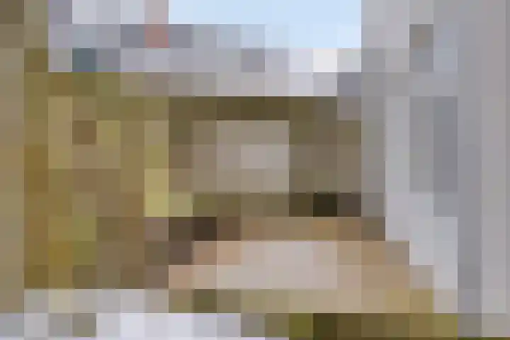 Reitemakersrijge 5 Groningen thumbnail 4