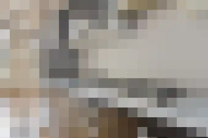 Reitemakersrijge 5 Groningen thumbnail 9