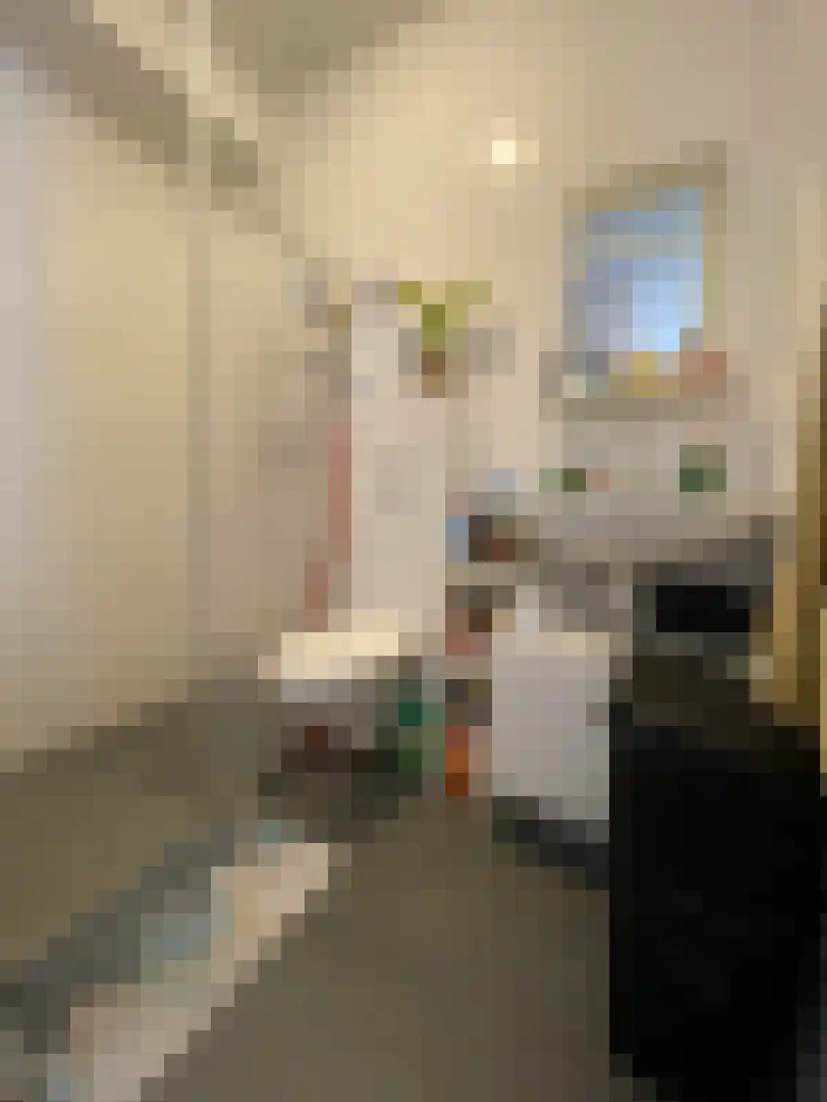 Reitemakersrijge 6 Groningen thumbnail 6