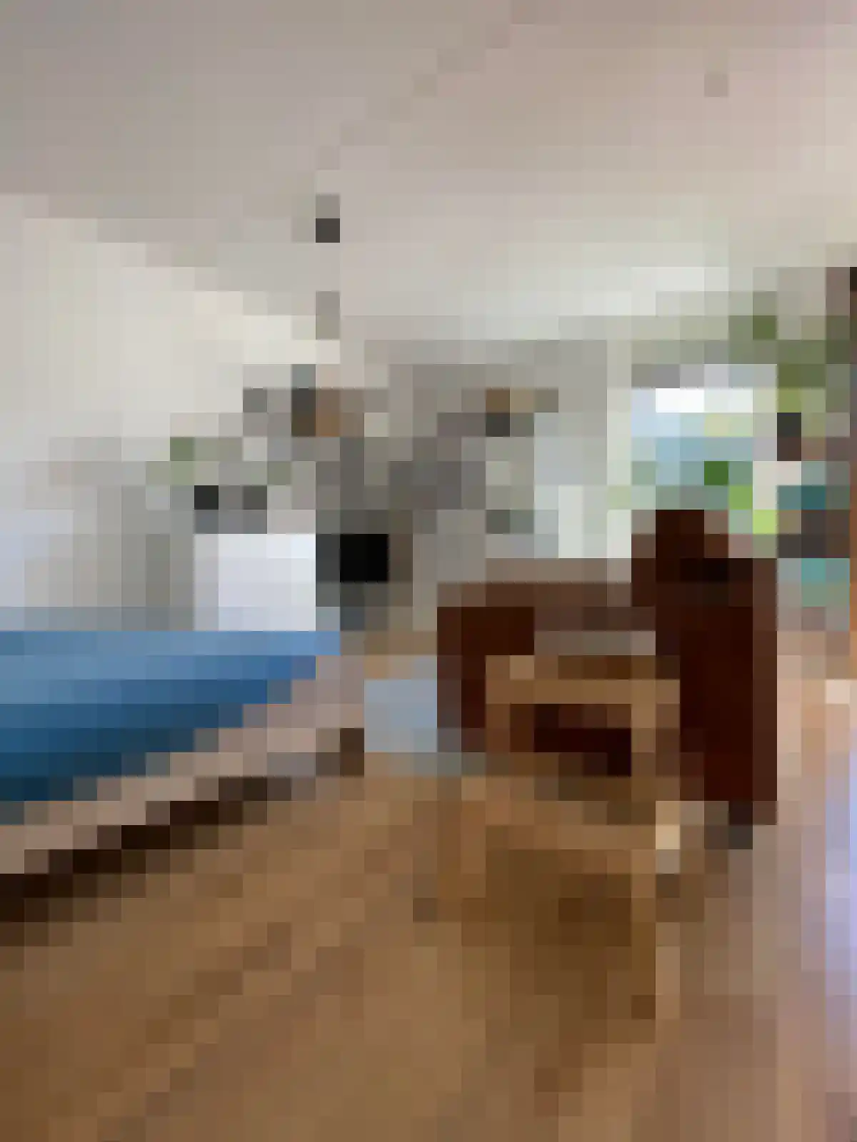 Reitemakersrijge Groningen thumbnail 4