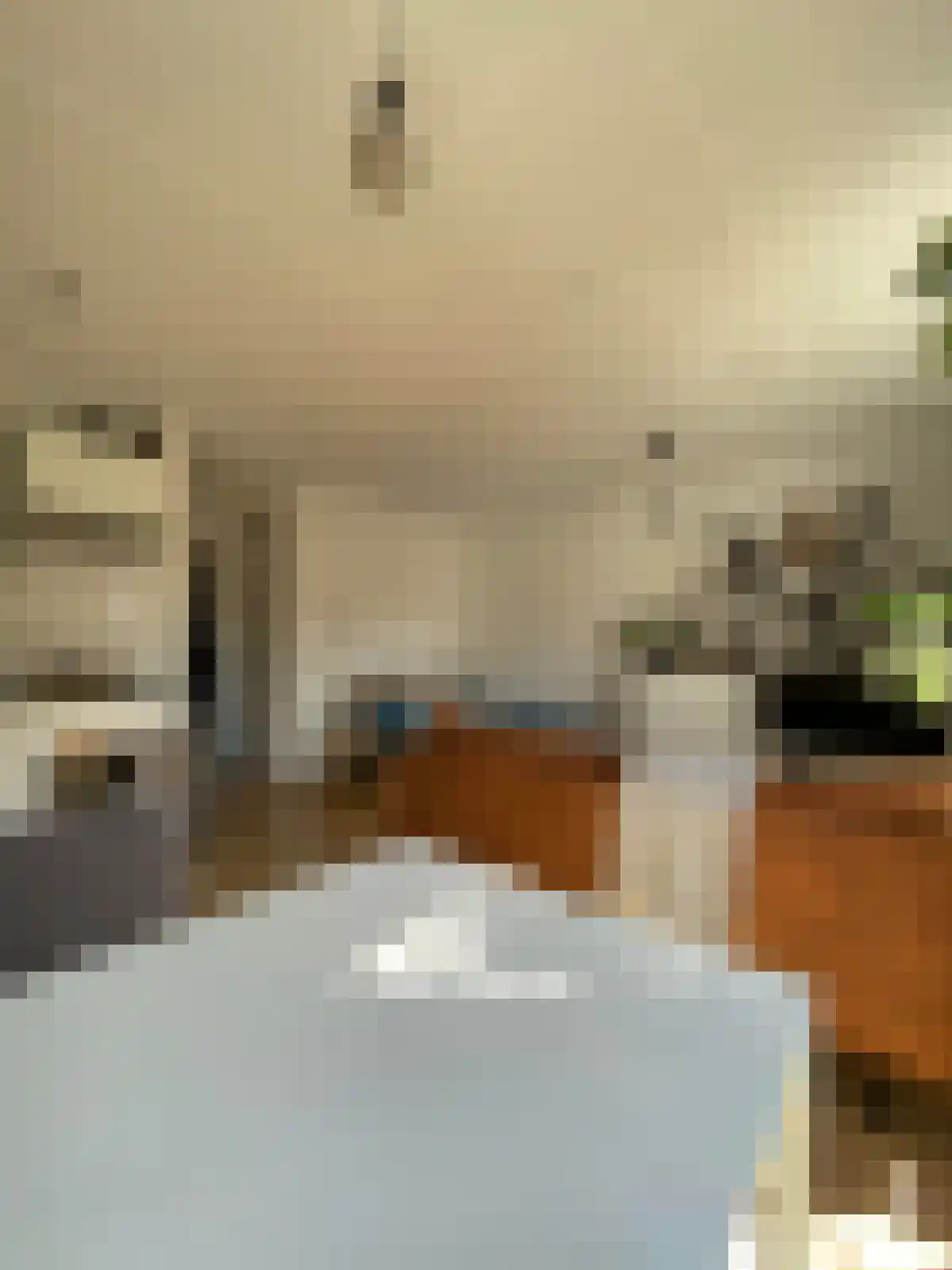 Reitemakersrijge Groningen thumbnail 5