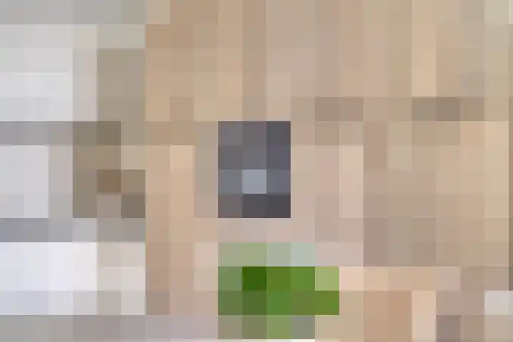 Reitselaan 12 Haaren thumbnail 12