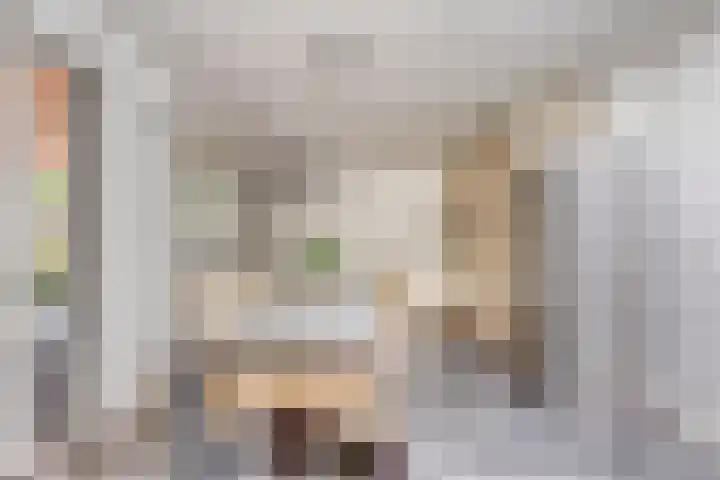 Reitselaan 12 Haaren thumbnail 13