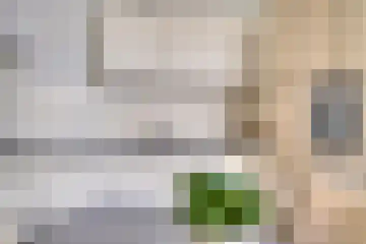 Reitselaan 12 Haaren thumbnail 14