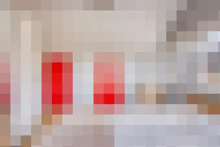 Reitselaan 12 Haaren thumbnail 23