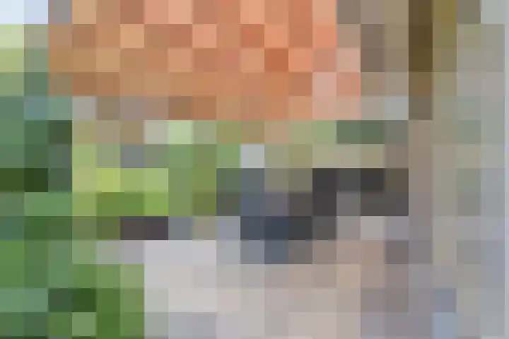 Reitselaan 12 Haaren thumbnail 27