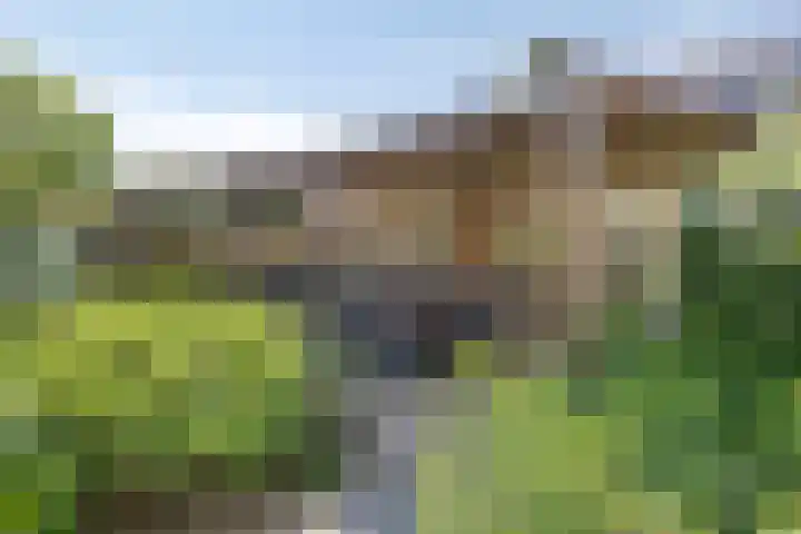 Reitselaan 12 Haaren thumbnail 28