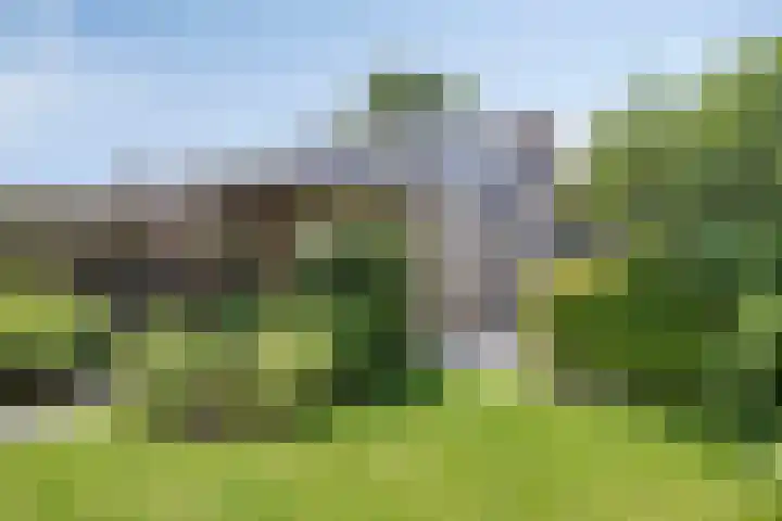 Reitselaan 12 Haaren thumbnail 29