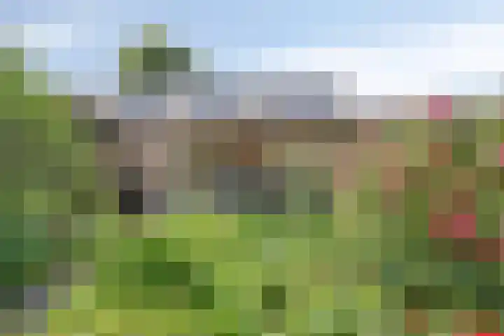 Reitselaan 12 Haaren thumbnail 30