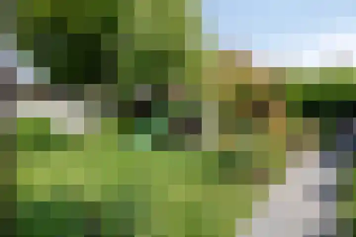Reitselaan 12 Haaren thumbnail 31