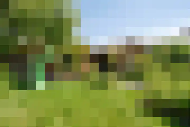 Reitselaan 12 Haaren thumbnail 32