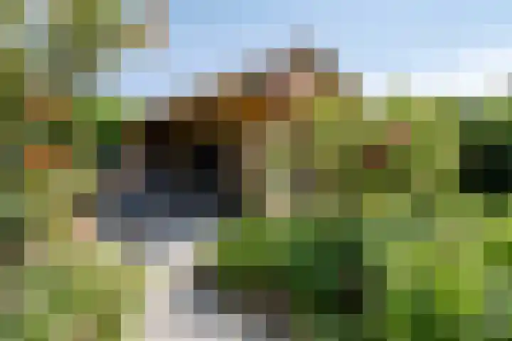 Reitselaan 12 Haaren thumbnail 33