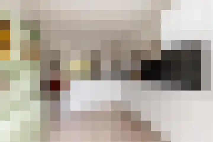 Reitselaan 2 t 2 Haaren thumbnail 10