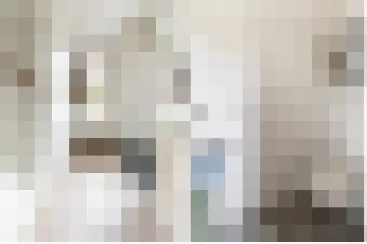Reitselaan 2 t 2 Haaren thumbnail 15