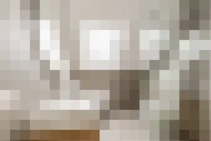 Reitselaan 2 t 2 Haaren thumbnail 22