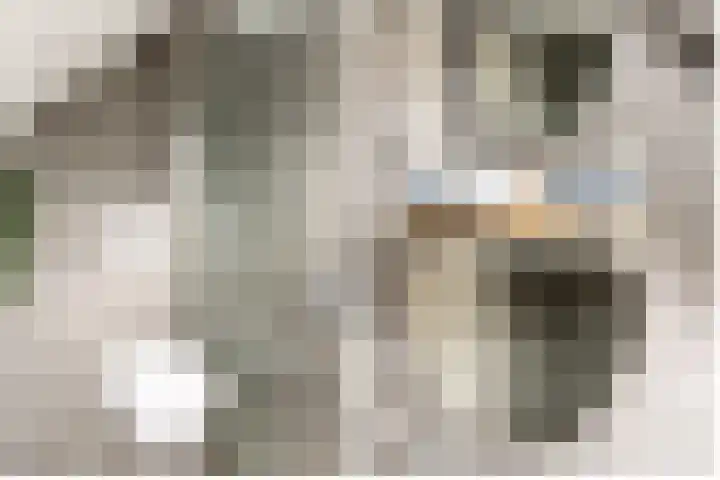 Reitselaan 2 t 2 Haaren thumbnail 23