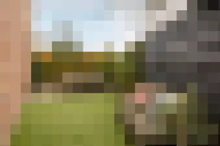 Reitselaan 2 t 2 Haaren thumbnail 27