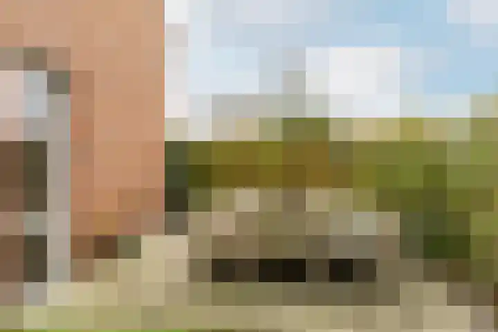 Reitselaan 2 t 2 Haaren thumbnail 29