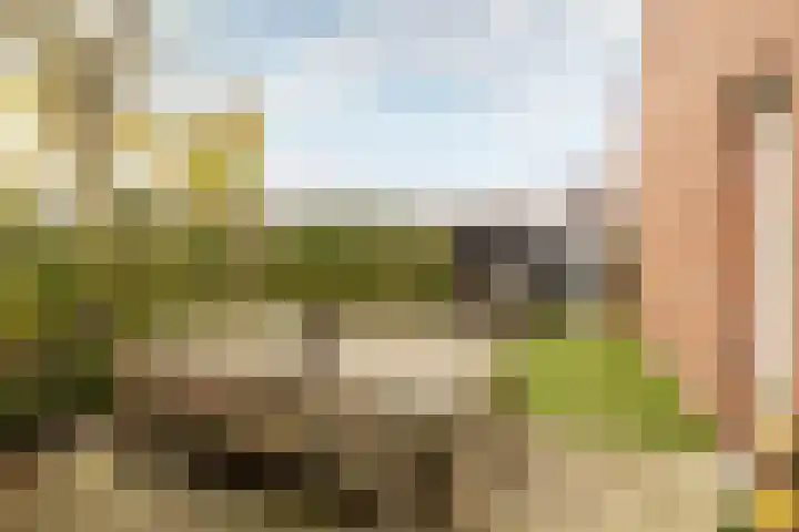 Reitselaan 2 t 2 Haaren thumbnail 30