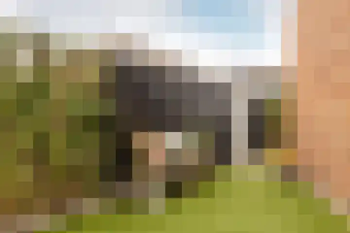 Reitselaan 2 t 2 Haaren thumbnail 31
