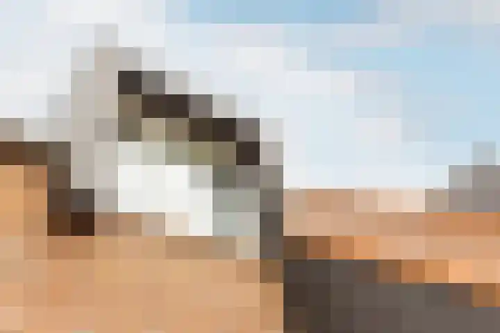Reitselaan 2 t 2 Haaren thumbnail 38