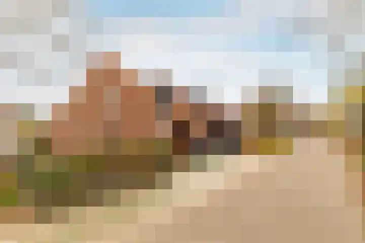 Reitselaan 2 t 2 Haaren thumbnail 39