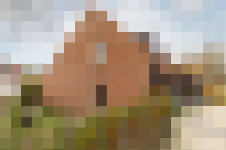 Reitselaan 2 t 2 Haaren thumbnail 40