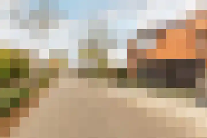 Reitselaan 2 t 2 Haaren thumbnail 42