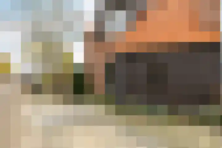 Reitselaan 2 t 2 Haaren thumbnail 43