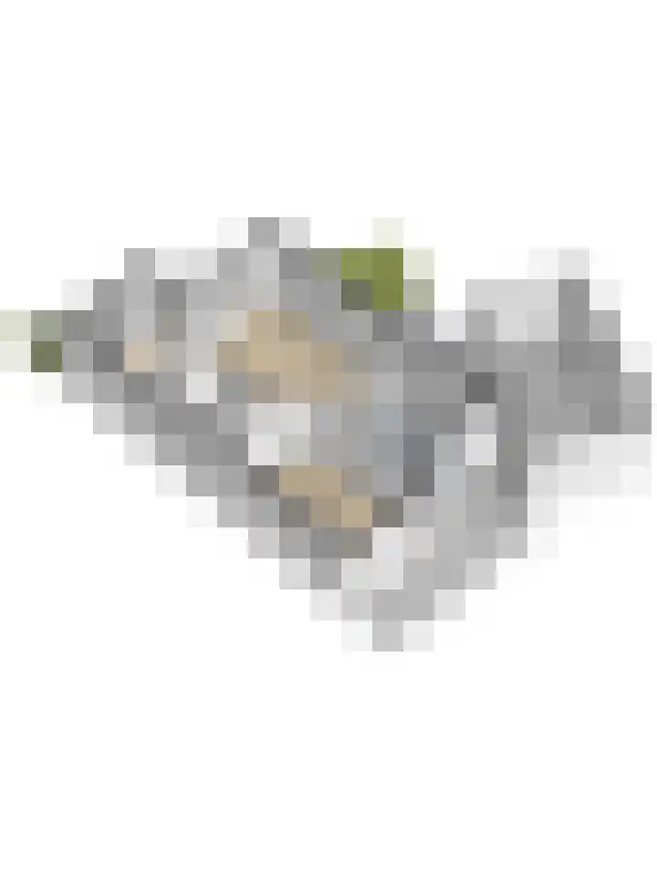 Reitselaan 2 t 2 Haaren thumbnail 45