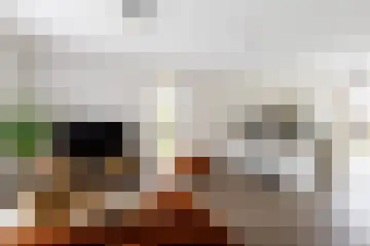 Reitselaan 2 t 2 Haaren thumbnail 5