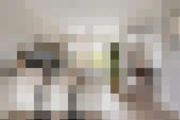 Reitselaan 2 t 2 Haaren thumbnail 6