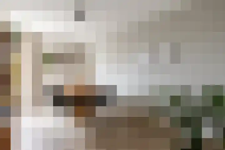 Reitselaan 2 t 2 Haaren thumbnail 8