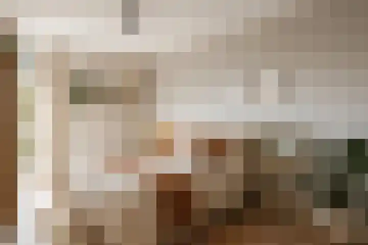 Reitselaan 2 t 2 Haaren thumbnail 9