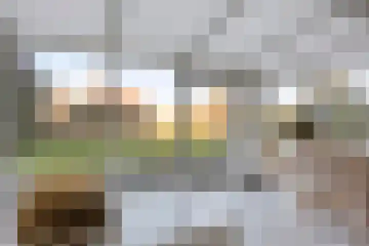 Reitselaan 61 Haaren thumbnail 18