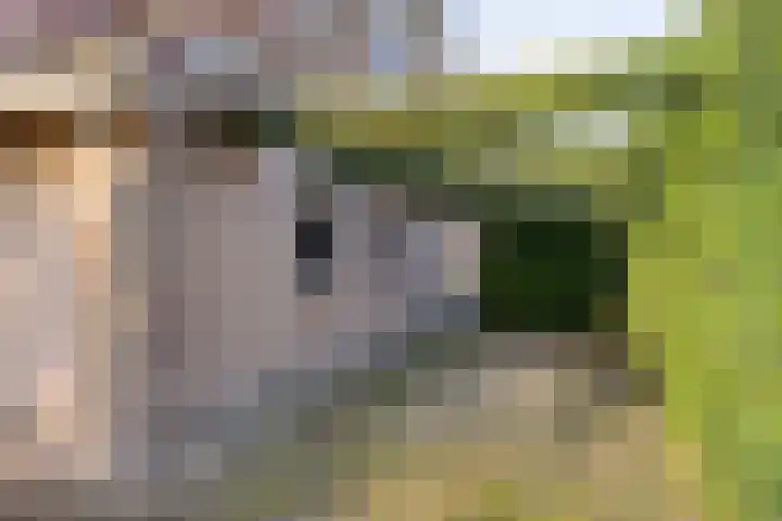 Reitselaan 61 Haaren thumbnail 30
